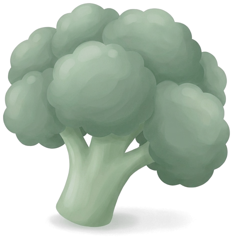 An illustrated broccoli