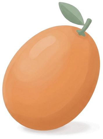 An illustrated kumquat