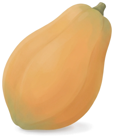 An illustrated papaya