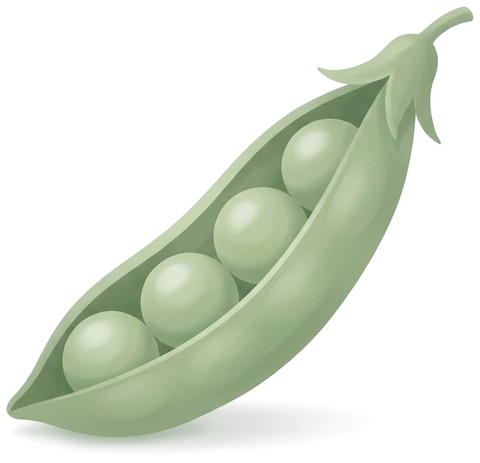 An illustrated sweet pea