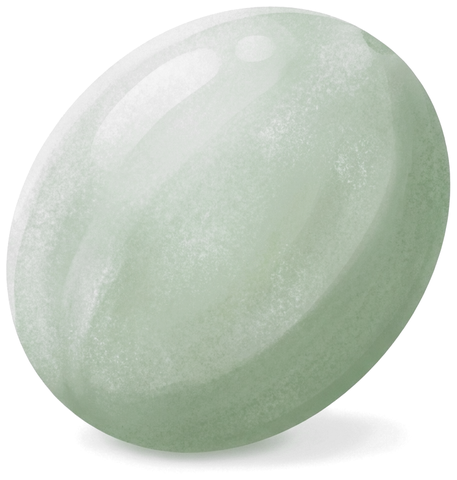 An illustrated winter melon